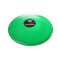 Frisbee